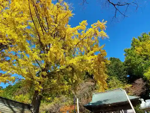 温泉神社～磐梯熱海温泉～の自然