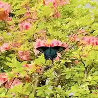 土津神社|こどもと出世の神さま(福島県)