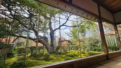 宝泉院(京都府)