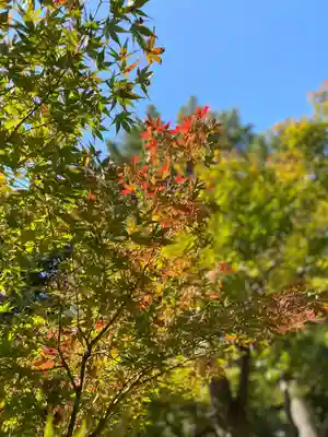 豪徳寺(東京都)