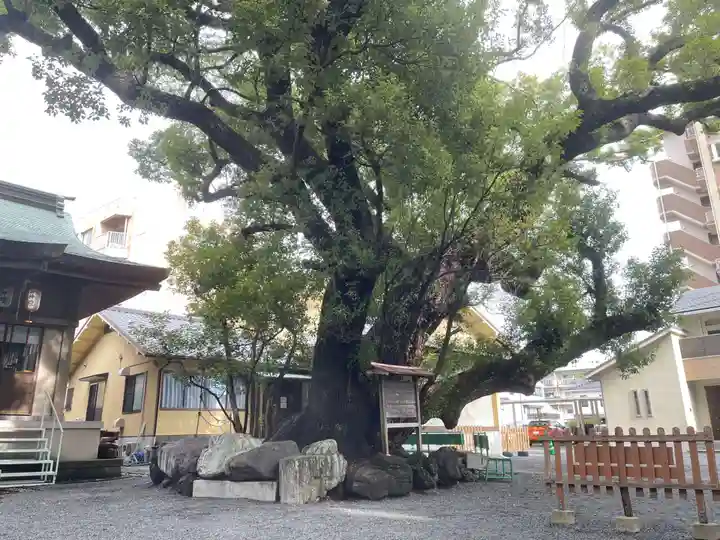 伊河麻神社(静岡県)