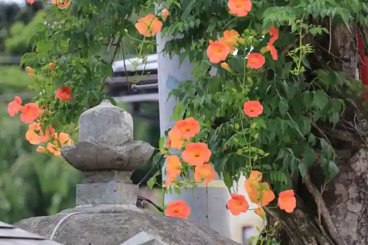 大鏑神社の自然