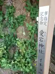 愛宕神社の自然