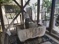 済福寺の手水