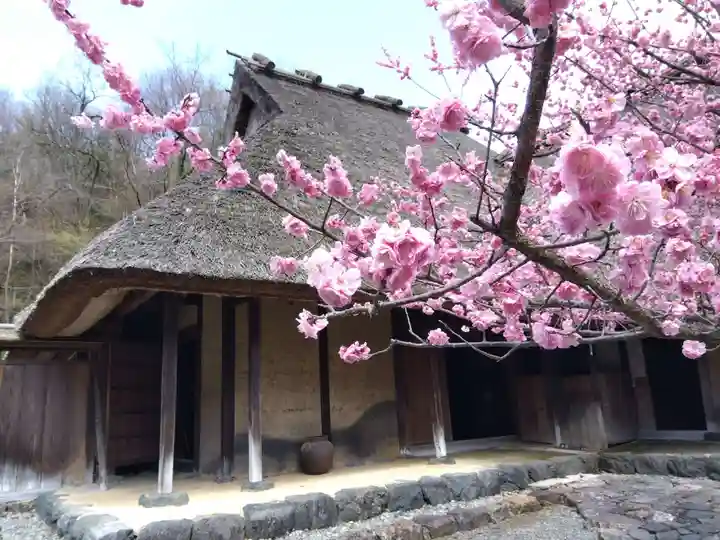 菟越神社(福井県)