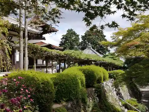 善峯寺の庭園