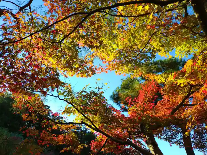 寿量山 速成寺(奈良県)
