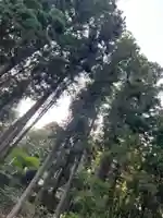 大宮温泉神社(栃木県)