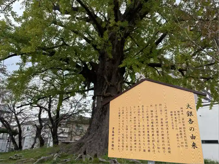 津島神社(愛知県)