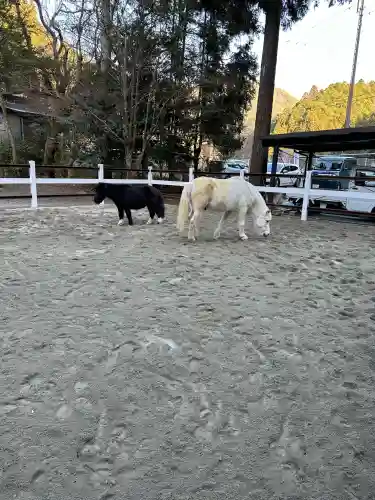 丹生川上神社（下社）の{uncategorized: "未分類", other: "その他", undefined: "問題あり", building: "その他建物", grave: "お墓", sacred_gate: "鳥居", guardian: "狛犬", statue: "像", buddha: "仏像", history: "歴史", nature: "自然", garden: "庭園", animal: "動物", pagoda: "塔", temizu: "手水舎", mountain_gate: "山門・神門", sanctuary: "本殿・本堂", subordinate: "末社・摂社", art: "芸術", scenery: "景色", jizo: "地蔵", ema: "絵馬", goshuin: "御朱印", omikuji: "おみくじ", items: "授与品その他", amulet: "お守り", goshuincho: "御朱印帳", eats: "食事", festival: "お祭り", votive_dance: "神楽", shichigosan: "七五三参", wedding: "結婚式", experience: "体験その他", initially: "初詣", around: "周辺", anti_infection: "感染症対策"}