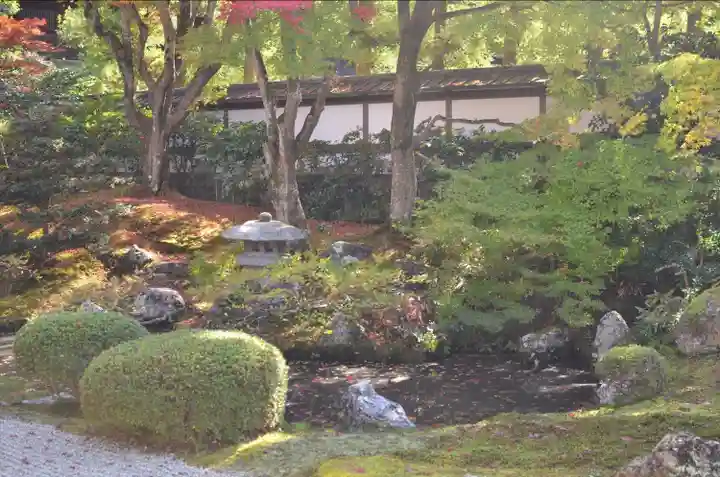 御寺 泉涌寺の庭園