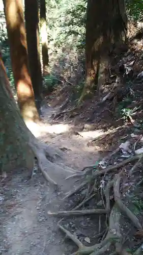 御岩神社の自然