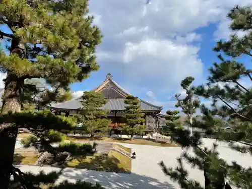 大覚寺の本殿・本堂