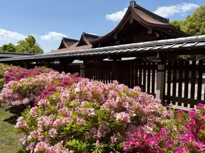 城南宮(京都府)