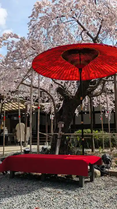 水無瀬神宮(大阪府)