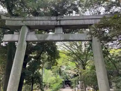 赤坂氷川神社(東京都)