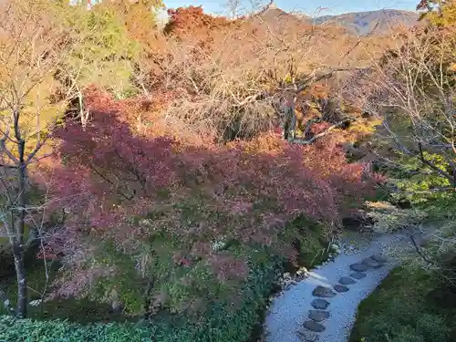 将軍塚青龍殿（青蓮院門跡）(京都府)