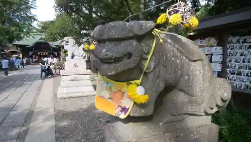 菊田神社の狛犬