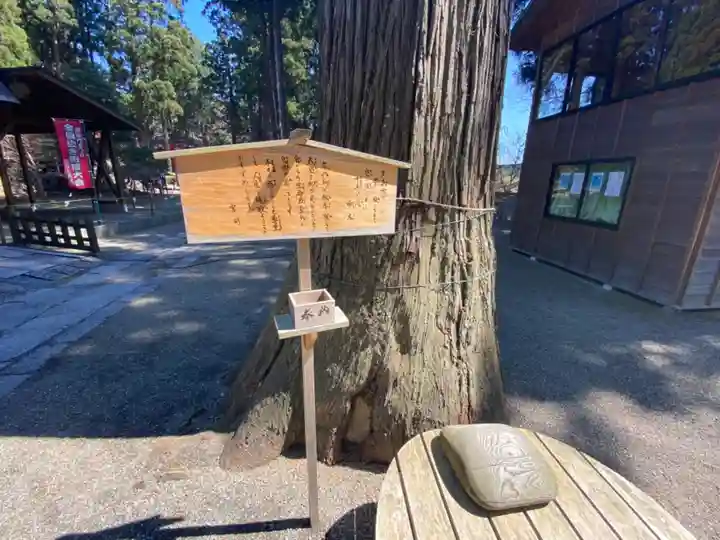 熊野神社の自然