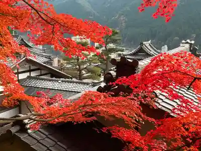 温泉寺(岐阜県)
