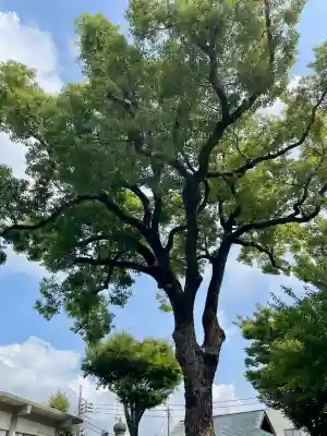 神明神社(神奈川県)