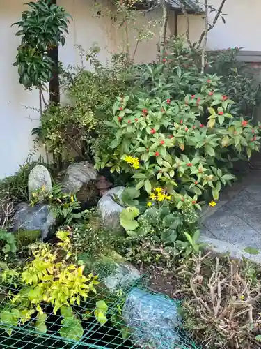 東林院(京都府)