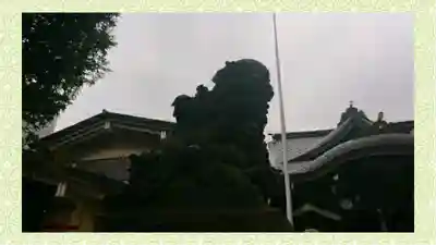 磐井神社(東京都)