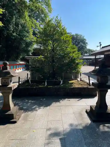 富岡八幡宮の{uncategorized: "未分類", other: "その他", undefined: "問題あり", building: "その他建物", grave: "お墓", sacred_gate: "鳥居", guardian: "狛犬", statue: "像", buddha: "仏像", history: "歴史", nature: "自然", garden: "庭園", animal: "動物", pagoda: "塔", temizu: "手水舎", mountain_gate: "山門・神門", sanctuary: "本殿・本堂", subordinate: "末社・摂社", art: "芸術", scenery: "景色", jizo: "地蔵", ema: "絵馬", goshuin: "御朱印", omikuji: "おみくじ", items: "授与品その他", amulet: "お守り", goshuincho: "御朱印帳", eats: "食事", festival: "お祭り", votive_dance: "神楽", shichigosan: "七五三参", wedding: "結婚式", experience: "体験その他", initially: "初詣", around: "周辺", anti_infection: "感染症対策"}