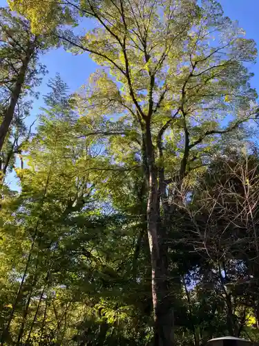來宮神社(静岡県)