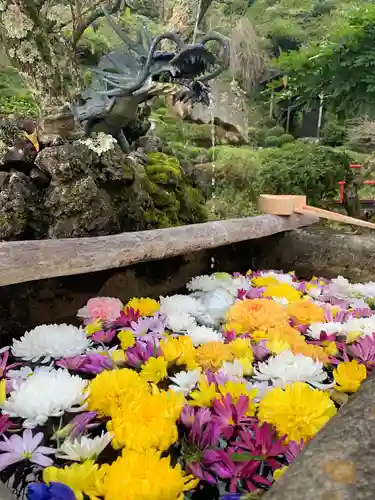 曹洞宗 永松山 龍泉寺の手水舎