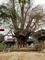 姥神神社(宮城県)