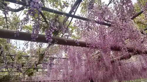 曼陀羅寺の庭園