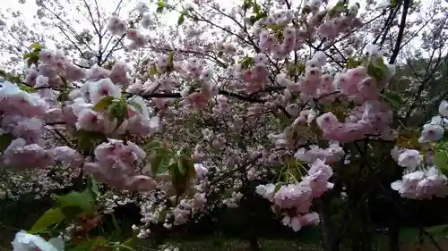 楽法寺（雨引観音）の庭園