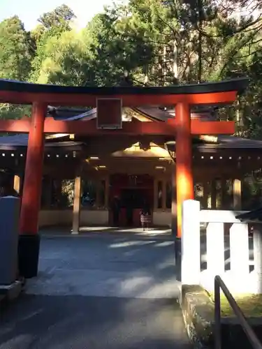 箱根神社の鳥居