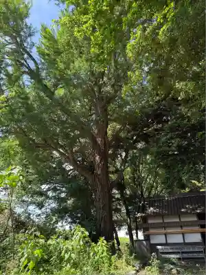雀神社(茨城県)