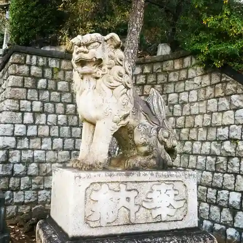 品川神社の狛犬