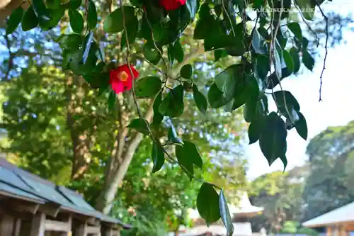 酒列磯前神社(茨城県)