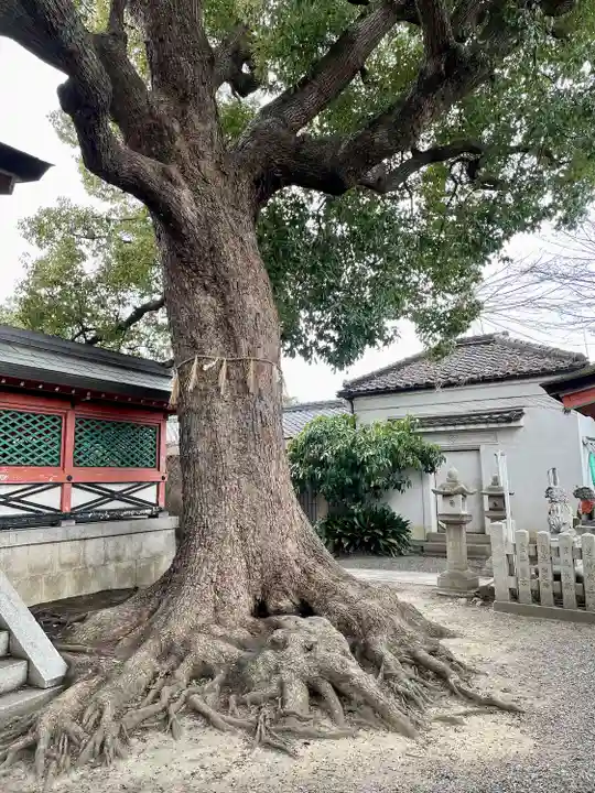 生根神社(大阪府)