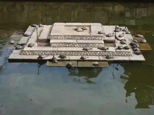 四天王寺のその他建物