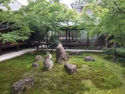 建仁寺（建仁禅寺）の庭園