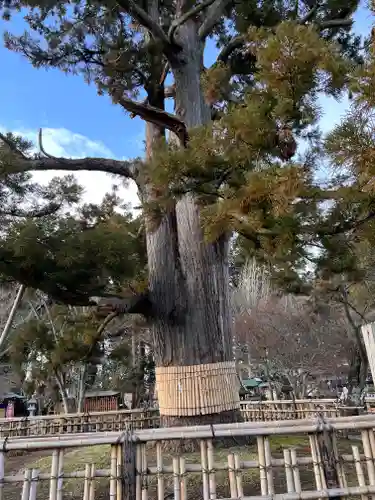 日高神社(岩手県)