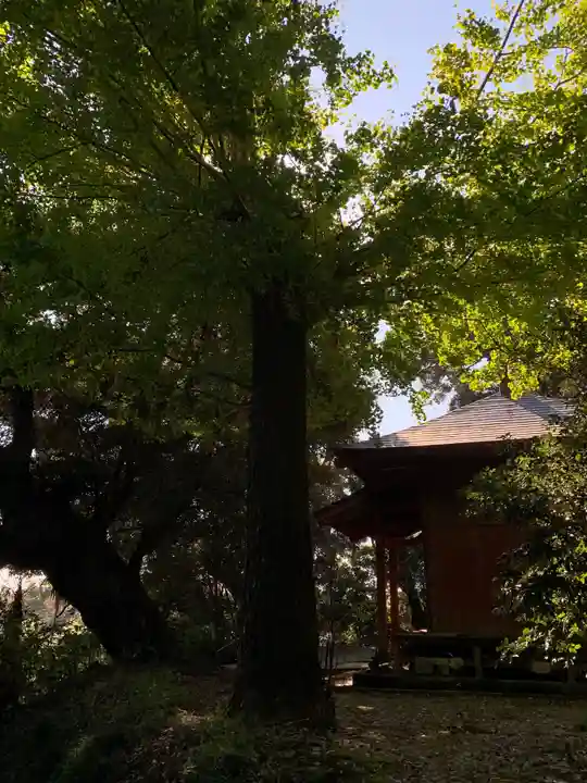 八坂神社(千葉県)