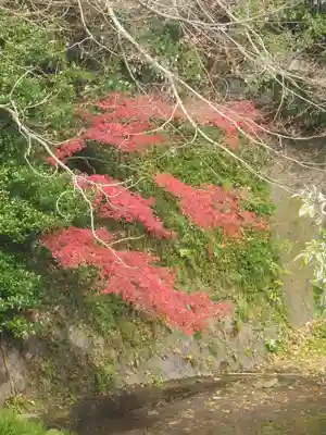 東勝寺跡の自然