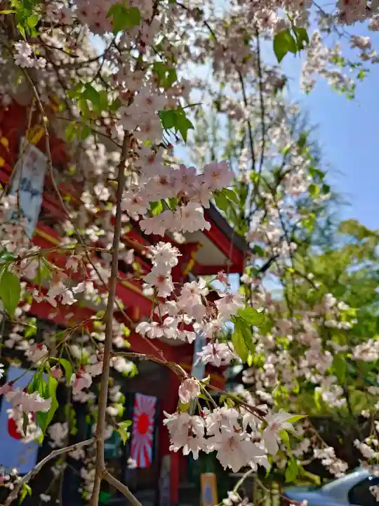 秩父神社の{uncategorized: "未分類", other: "その他", undefined: "問題あり", building: "その他建物", grave: "お墓", sacred_gate: "鳥居", guardian: "狛犬", statue: "像", buddha: "仏像", history: "歴史", nature: "自然", garden: "庭園", animal: "動物", pagoda: "塔", temizu: "手水舎", mountain_gate: "山門・神門", sanctuary: "本殿・本堂", subordinate: "末社・摂社", art: "芸術", scenery: "景色", jizo: "地蔵", ema: "絵馬", goshuin: "御朱印", omikuji: "おみくじ", items: "授与品その他", amulet: "お守り", goshuincho: "御朱印帳", eats: "食事", festival: "お祭り", votive_dance: "神楽", shichigosan: "七五三参", wedding: "結婚式", experience: "体験その他", initially: "初詣", around: "周辺", anti_infection: "感染症対策"}