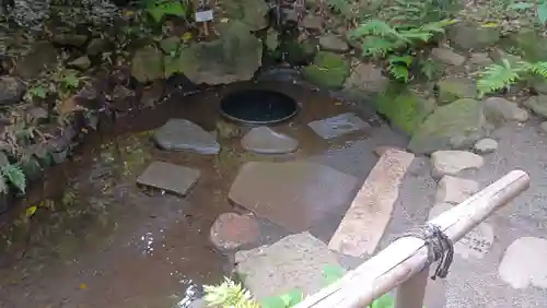 明治神宮(東京都)