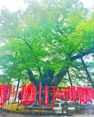 秩父今宮神社の自然