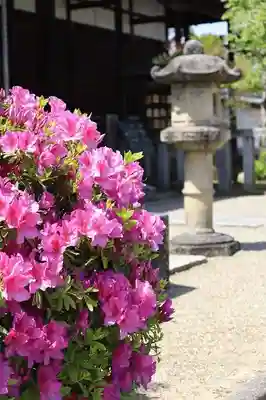 西大寺(奈良県)