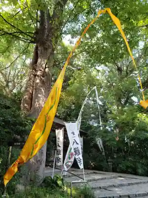阿佐ヶ谷神明宮(東京都)