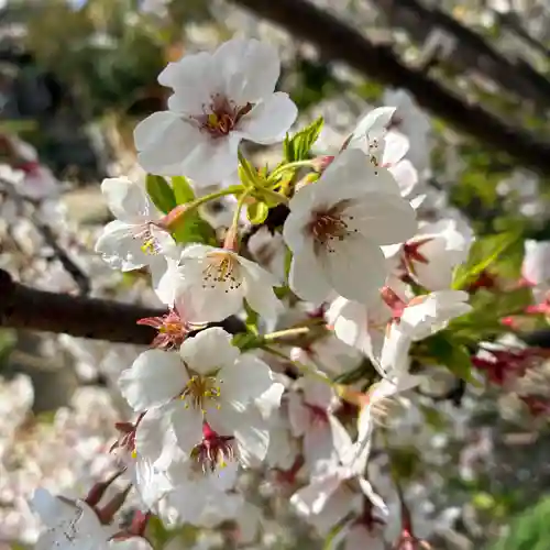 大久保青木神社(神奈川県)
