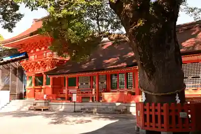 宇佐神宮の本殿・本堂